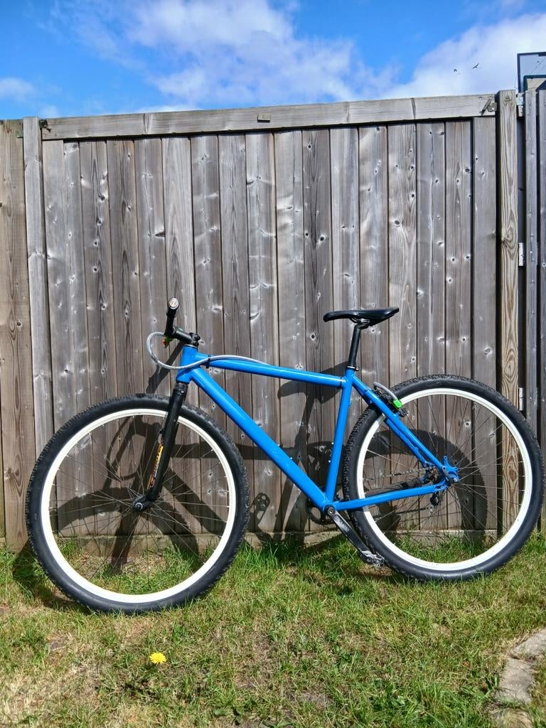 Singlespeed Mountainbike - CarboTech vork & Magura rem, Gebruikt, Heren, Geen vering, 53 tot 57 cm