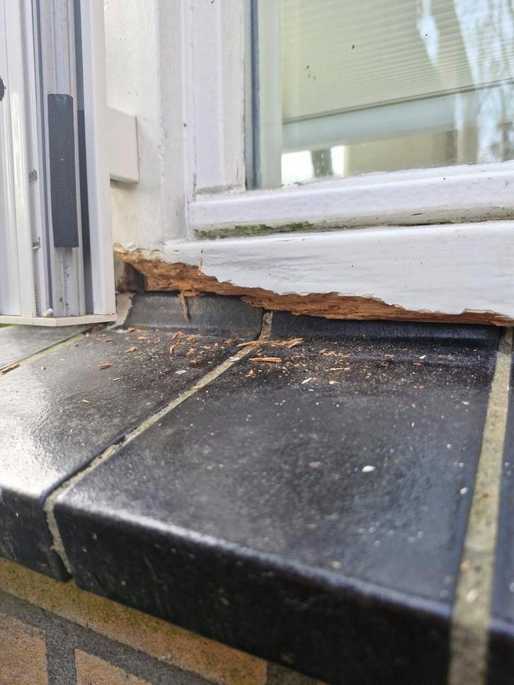 Timmerman,schilder,klusjesman,laminaat leggen, Diensten en Vakmensen, Klussers en Klusbedrijven