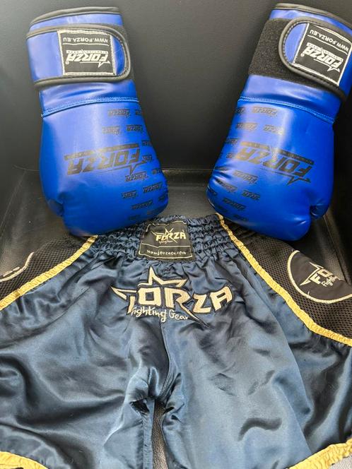 Forza kinder kickboks handschoenen en broek., Sport en Fitness, Boksen, Zo goed als nieuw, Bokshandschoenen, Ophalen of Verzenden