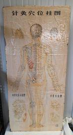Originele set acupunctuur wandplaten –China 1971 –Set van 3, Ophalen of Verzenden, Natuur en Biologie