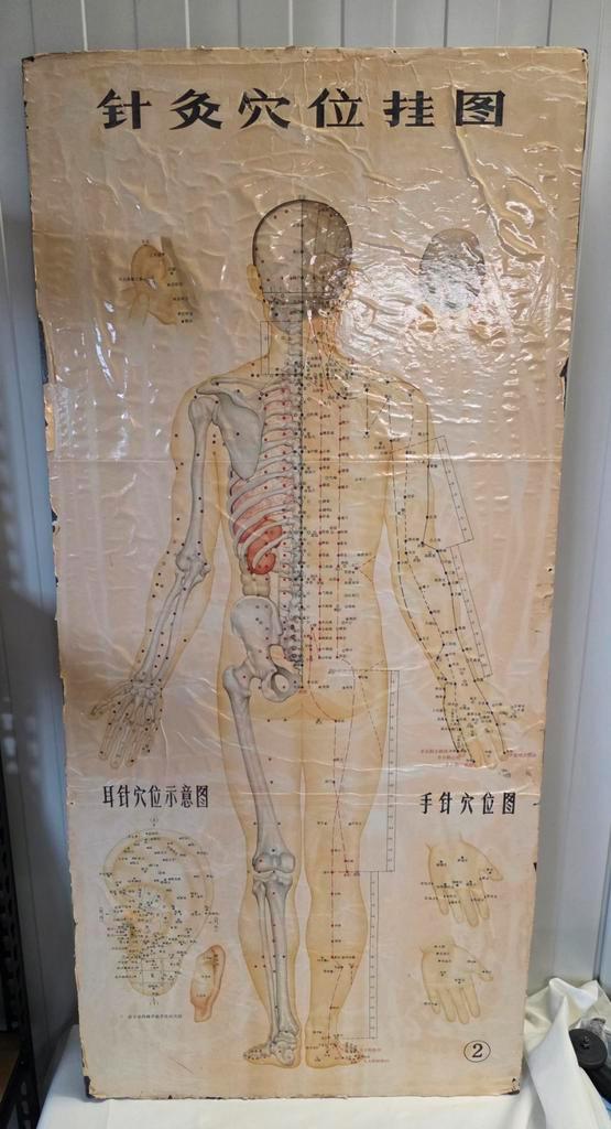 Originele set acupunctuur wandplaten –China 1971 –Set van 3, Antiek en Kunst, Antiek | Schoolplaten, Natuur en Biologie, Ophalen of Verzenden