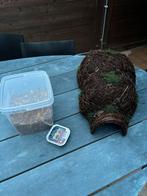 Egelhuis en egelvoer, Minder dan 60 cm, Gebruikt, Minder dan 75 cm, Ophalen of Verzenden