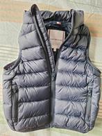 Tommy hilfiger bodywarmer maat 86, Kinderen en Baby's, Babykleding | Maat 86, Ophalen of Verzenden, Zo goed als nieuw, Jongetje