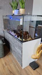 ZEE AQUARIUM Gratis ophalen!!, Ophalen of Verzenden, Zo goed als nieuw, Overige typen