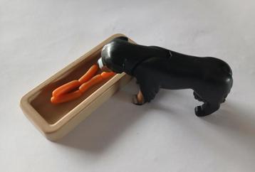 Berner sennen hond met voerbak en worstjes beschikbaar voor biedingen