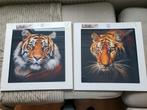 Nieuw 2x glasschilderij tijger, Nieuw, Schilderij, Ophalen of Verzenden, 50 tot 75 cm