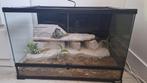 Terrarium 60x40x40 met ingebouwde rotsen en schuilplekken, Ophalen, Gebruikt, Terrarium of Paludarium