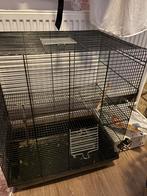 Cage for rats/rodents, Ophalen, Zo goed als nieuw, Metaal, Vogelkooi