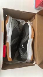 Zaalschoenen Puma varion jr. maat 37, Sport en Fitness, Handbal, Ophalen of Verzenden, Nieuw, Schoenen