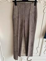 Nieuw creme bruin broek merk Brady Br&dy maat XS, Kleding | Dames, Ophalen of Verzenden, Nieuw, Maat 34 (XS) of kleiner, Bruin