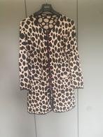 Gudrub Sjoden Vest XL, Zwart, Maat 46/48 (XL) of groter, Ophalen of Verzenden, Gedragen