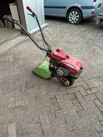 Tuin frees machine Meccanica Benassi, Ophalen, Gebruikt, Benzine, Tuinfrees