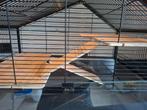 Hamsterkooi compleet met toebehoren, Ophalen