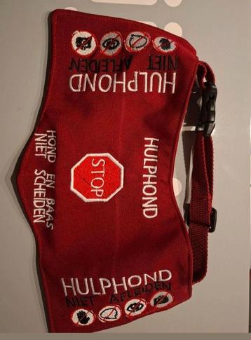 Hulphond  beschikbaar voor biedingen