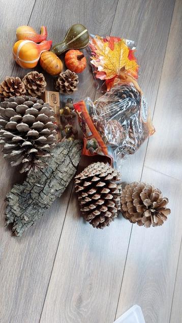 Herfstdecoratie - Dennenappels, Bladeren & Sierfruit beschikbaar voor biedingen