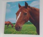 Paarden canvas / Paarden zwart wit, 50 tot 75 cm, Ophalen of Verzenden, Zo goed als nieuw, Schilderij
