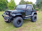 Jeep Wrangler 4.0i Wagon (bj 1993), Auto's, Jeep, 4000 cc, Origineel Nederlands, Handgeschakeld