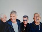 Golden Earring One Last Time  - William Rutten  xl foto, Ophalen