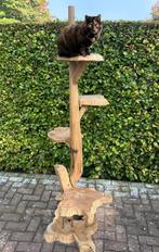 Kattenpaal hout, Ophalen, Gebruikt