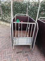 12 spinder eenlingboxen, kalverhok, Dieren en Toebehoren, Stalling en Weidegang