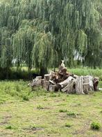 2 geiten te koop, Dieren en Toebehoren, Schapen, Geiten en Varkens, Vrouwelijk, Geit