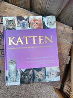 Groot boek Katten encyclopedie, Ophalen of Verzenden, Zo goed als nieuw, Katten