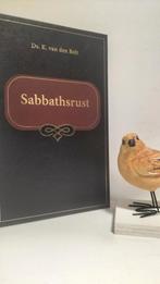Belt, Ds. K. van den; Sabbathsrust, Ophalen of Verzenden, Gelezen, Christendom | Protestants