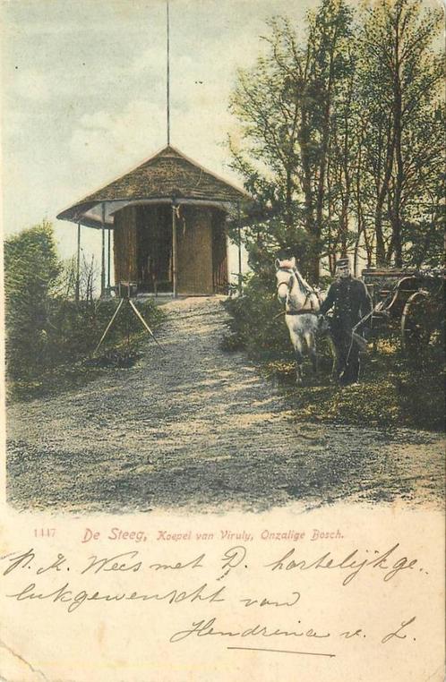 (388-558-039) De Steeg Koepel van Viruly Onzalige Bosch, Verzamelen, Ansichtkaarten | Nederland, Gelderland, Verzenden