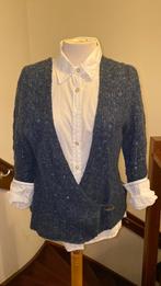 Vest van Samdwich ajour steek. Heerlijk warm, Kleding | Dames, Truien en Vesten, Ophalen of Verzenden, Zo goed als nieuw, Maat 46/48 (XL) of groter