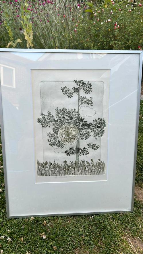 Vintage ets Willemien Holterman vogels in boom 1979, Antiek en Kunst, Kunst | Etsen en Gravures, Ophalen of Verzenden