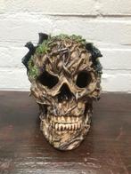 SKULL/ SCHEDEL, Antiek en Kunst, Ophalen of Verzenden