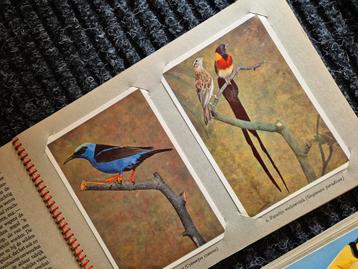 Vogelboeken beschikbaar voor biedingen