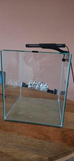 Nette aquarium cube, 50 liter, incl lamp en filter, Dieren en Toebehoren, Vissen | Aquaria en Toebehoren, Ophalen, Zo goed als nieuw