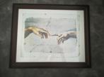 Hand van God, ingelijst, Michelangelo, NIEUW, Ophalen, Minder dan 50 cm, Zo goed als nieuw, Schilderij