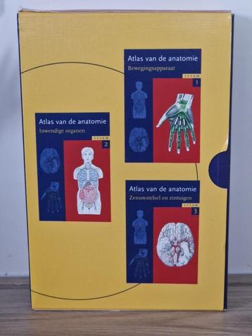 Sesam Atlas van de anatomie beschikbaar voor biedingen