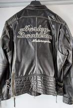 Harley davidson damesjas, Motoren, Kleding | Motorkleding, Jas | textiel, Tweedehands