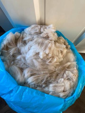 Witte alpaca wol 2,9 kg beschikbaar voor biedingen