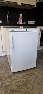 Gebruikte Liebherr Vrieskast - Goed Onderhouden, Witgoed en Apparatuur, Vriezers en Diepvrieskisten, Gebruikt, Minder dan 60 cm