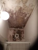 gezocht schilder om douche te sausen in teuge, Ophalen, Nieuw