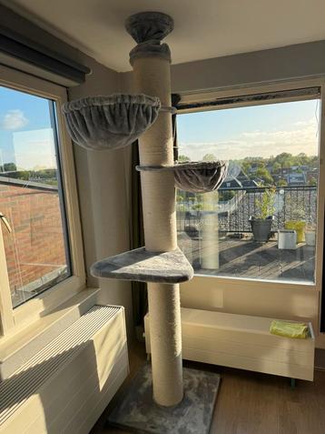 Maine coon tower RHR pets krabpaal grijs, tot plafond beschikbaar voor biedingen