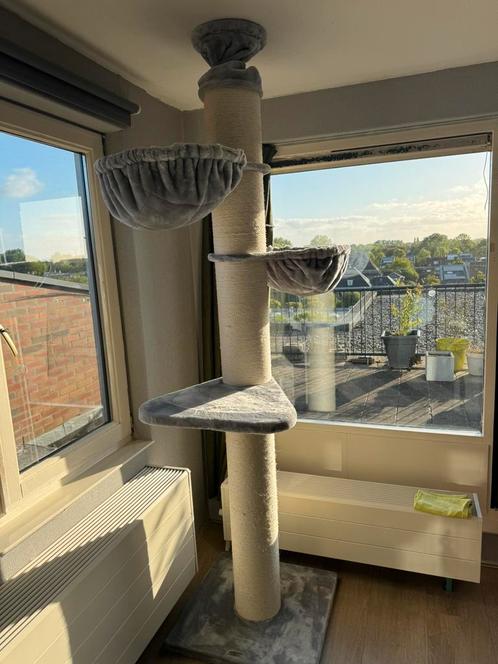 Maine coon tower RHR pets krabpaal grijs, tot plafond, Dieren en Toebehoren, Krabmeubelen, Zo goed als nieuw, Krabpaal, Ophalen
