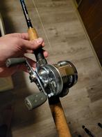 Baitcaster en trol hengel rozemeijer en daiwa, Watersport en Boten, Ophalen, Werphengel