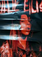 Billie Eilish, Ophalen of Verzenden, Gebruikt, Deurposter of groter, Muziek