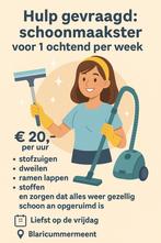 Geweldige schoonmaakster gezocht € 20,- per uur, Diensten en Vakmensen, Huishoudelijke hulp, Schoonmaken