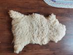 Schapen  vel orgineel 1*0.50mtr, Ophalen of Verzenden, Zo goed als nieuw