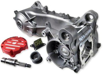 Malossi RC-one Minarelli Ottopuntouno 100cc DDL Tuned OP=OP beschikbaar voor biedingen
