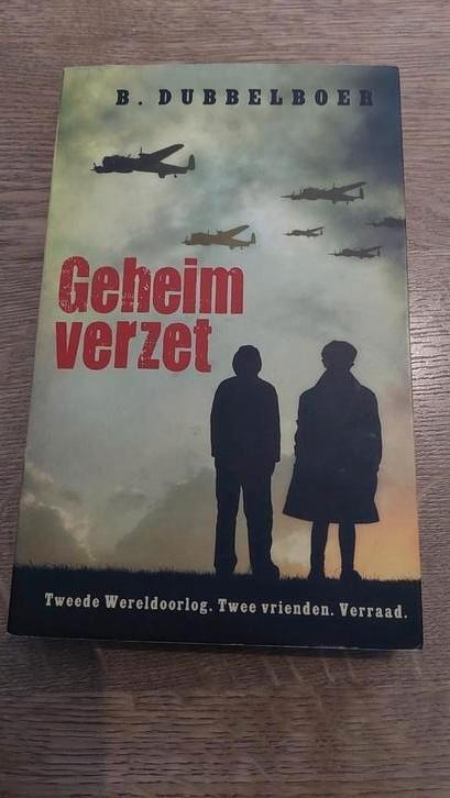 B. Dubbelboer - Geheim verzet, Boeken, Kinderboeken | Jeugd | 10 tot 12 jaar, Zo goed als nieuw, Ophalen of Verzenden