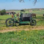 Muli Motor ST Pro Green Pinetree cargobike, Overige merken, Sperwerstraat 97, Arnhem, Nieuw, Ophalen of Verzenden