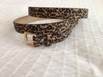 Riem / ceintuur dames luipaard nieuw 105 cm. Trendy!, Ophalen of Verzenden, Zo goed als nieuw, Overige kleuren, 100 cm of meer