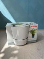 Rosti Mepal Hydro Herbs Kruidenpot, Huis en Inrichting, Ophalen of Verzenden, Nieuw